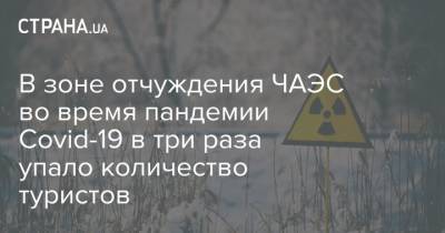 В зоне отчуждения ЧАЭС во время пандемии Covid-19 в три раза упало количество туристов - strana.ua