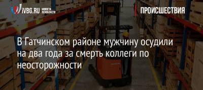 В Гатчинском районе мужчину осудили на два года за смерть коллеги по неосторожности - ivbg.ru - район Гатчинский