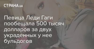 Леди Гага - Певица Леди Гаги пообещала 500 тысяч долларов за двух украденных у нее бульдогов - strana.ua