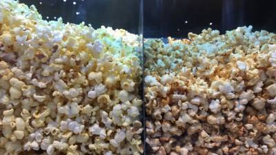 Студия Blumhouse перезапустит хоррор-серию "Паранормальное явление" - newinform.com