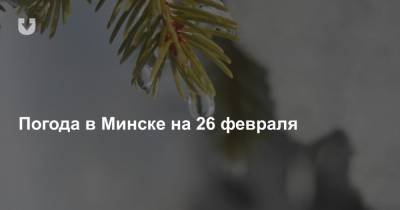 Погода в Минске на 26 февраля - news.tut.by - Минск - Минская обл.