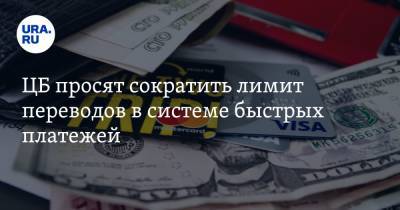 Виктор Достов - ЦБ просят сократить лимит переводов в системе быстрых платежей - ura.news