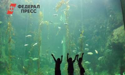 Юлия Барановская - «Не понтуйтесь без Аршавина»: Барановскую затравили за фото с детьми - fedpress.ru - Москва - Мальдивы