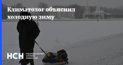 Алексей Кокорин - Климатолог объяснил холодную зиму - nsn.fm