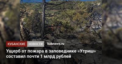 Ущерб от пожара в заповеднике «Утриш» составил почти 1 млрд рублей - kubnews.ru - Анапа - Краснодарский край