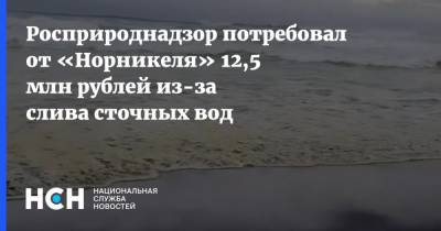 Росприроднадзор потребовал от «Норникеля» 12,5 млн рублей из-за слива сточных вод - nsn.fm - Красноярский край