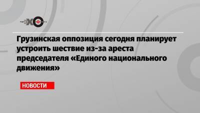 Михаил Саакашвили - Никанор Мелия - Грузинская оппозиция сегодня планирует устроить шествие из-за ареста председателя «Единого национального движения» - echo.msk.ru - Грузия - Тбилиси