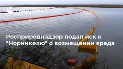 Росприроднадзор подал иск к "Норникелю" о возмещении вреда - ria.ru - Россия - Красноярский край - Красноярск - Норильск