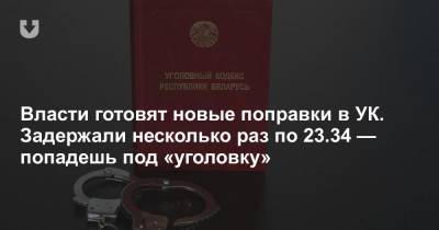 Александр Лукашенко - Игорь Сергеенко - Власти готовят новые поправки в УК. Задержали несколько раз по 23.34 — попадешь под «уголовку» - news.tut.by