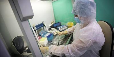 Израиль объявил войну опасному вирусу, и это не «корона» - detaly.co.il
