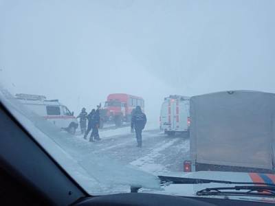В Челябинской области наградят волонтеров, которые помогали пострадавшим во время бурана - znak.com - Челябинская обл.