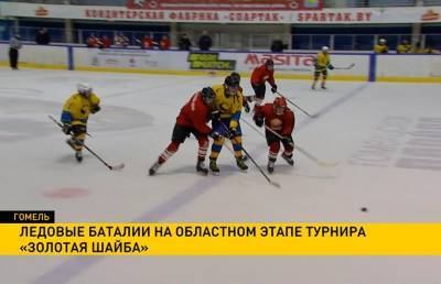 Региональный этап хоккейного турнира «Золотая шайба» проходит в Гомеле - ont.by - Минск - Гомель