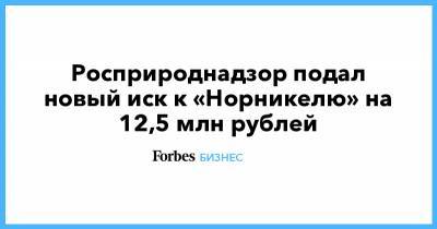 Росприроднадзор подал новый иск к «Норникелю» на 12,5 млн рублей - forbes.ru - Норильск