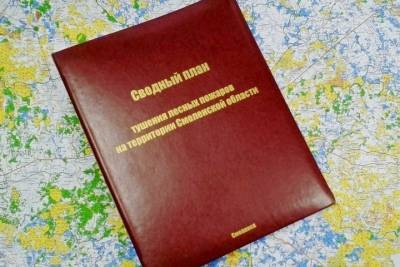 Алексей Островский - Утвержден Сводный план тушения лесных пожаров на территории Смоленской области - mk-smolensk.ru - Смоленская обл. - ЦФО