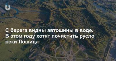 С берега видны автошины в воде. В этом году хотят почистить русло реки Лошица - news.tut.by - Минск - район Ленинский