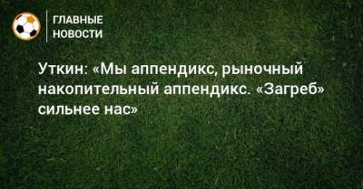Василий Уткин - Уткин: «Мы аппендикс, рыночный накопительный аппендикс. «Загреб» сильнее нас» - bombardir.ru - Краснодар - Загреб - Югославия