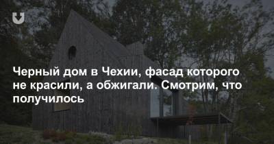 Черный дом в Чехии, фасад которого не красили, а обжигали. Смотрим, что получилось - news.tut.by - Япония - Чехия