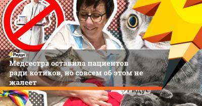 Медсестра оставила пациентов ради котиков, но совсем об этом не жалеет - ridus.ru - Англия - Лондон