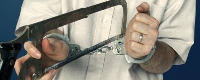 В Сертолово задержали мужчину, расчленившего и закопавшего мать в лесу - runews24.ru - Ленинградская обл.
