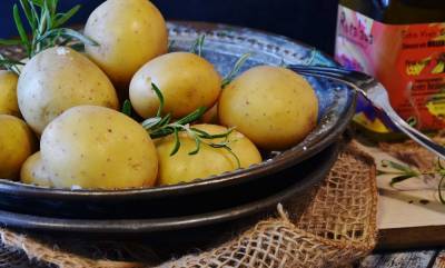 Агро - Украинцы стали потреблять меньше картофеля, оставаясь одним из крупнейших производителей - 24tv.ua - Бельгия - Молдавия
