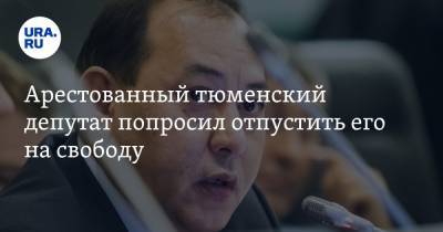 Арестованный тюменский депутат попросил отпустить его на свободу - ura.news - Тюмень