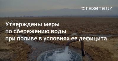 Утверждены меры по сбережению воды при поливе в условиях ее дефицита - gazeta.uz - Узбекистан