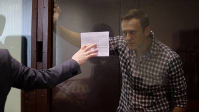 Алексей Навальный - Yves Rocher - Amnesty International ошиблась насчет Навального - vesti.ru - Москва
