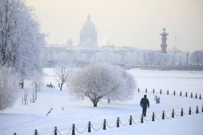За сутки с дорог Петербурга вывезли 56 тысяч кубометров снега - neva.today - Санкт-Петербург