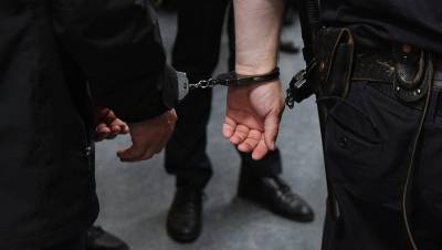 Ирина Волк - В Москве задержали группу подпольных банкиров, «заработавших» больше миллиарда рублей - gazeta.ru - Москва