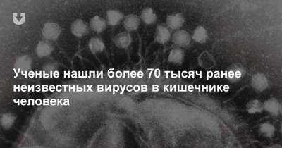 Ученые нашли более 70 тысяч ранее неизвестных вирусов в кишечнике человека - news.tut.by