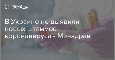 Виктор Ляшко - В Украине не выявили новых штаммов коронавируса - Минздрав - strana.ua - Ивано-Франковская обл.