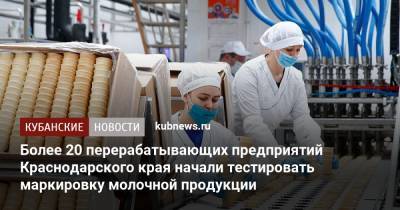 Алексей Майоров - Андрей Коробка - Более 20 перерабатывающих предприятий Краснодарского края начали тестировать маркировку молочной продукции - kubnews.ru - Краснодарский край - Краснодар