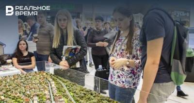 В 2020 году спрос на земельные участки в Татарстане вырос на 30% - realnoevremya.ru - респ. Татарстан