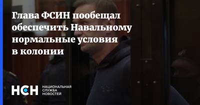 Алексей Навальный - Вадим Кобзев - Александр Калашников - Глава ФСИН пообещал обеспечить Навальному нормальные условия в колонии - nsn.fm - Москва