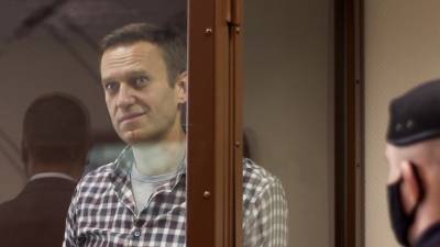 Алексей Навальный - Amnesty International объяснила свою позицию по статусу Навального - russian.rt.com