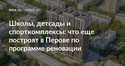 Сергей Левкин - Школы, детсады и спорткомплексы: что еще построят в Перове по программе реновации - mos.ru - Москва - район Перово