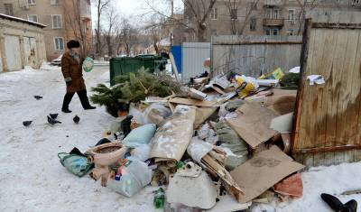 Эксперт о рекультивации свалок: население не должно быть заложником реформ - newizv.ru