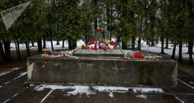 Украденная с монумента советским воинам в Екабпилсе пушка еще не найдена - lv.sputniknews.ru - Рига - Латвия