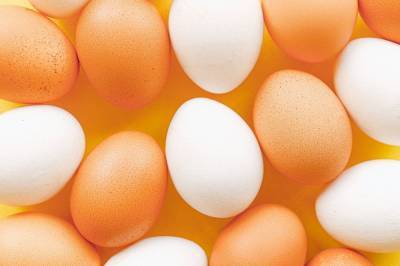 Жареное, вареное или омлет: какой способ приготовления яиц считается наиболее полезным - 24tv.ua