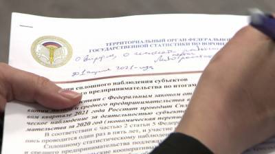 В Воронеже предпринимателей могут оштрафовать за отказ от участия в экономической переписи - vestivrn.ru - Воронеж