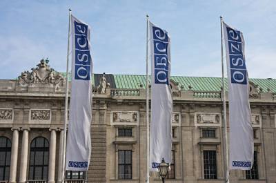 Владимир Джабаров - Делегация из России в ОБСЕ подняла тему нарушения прав русскоязычных граждан на Украине - pnp.ru