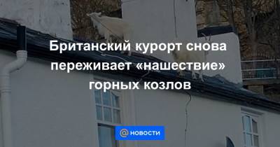 Британский курорт снова переживает «нашествие» горных козлов - news.mail.ru