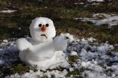 Синоптики: зимы в Германии слишком теплые уже в течение 10 лет - aussiedlerbote.de