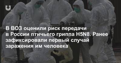 В ВОЗ оценили риск передачи в России птичьего гриппа H5N8. Ранее зафиксировали первый случай заражения им человека - news.tut.by