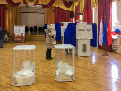 Олег Николенко - Россия разрешила жителям оккупированного Донбасса голосовать на выборах в Госдуму. МИД Украины назвал решение незаконным - gordonua.com - Россия - Донбасс - Донецкая обл.