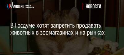 Владимир Бурматов - В Госдуме хотят запретить продавать животных в зоомагазинах и на рынках - ivbg.ru