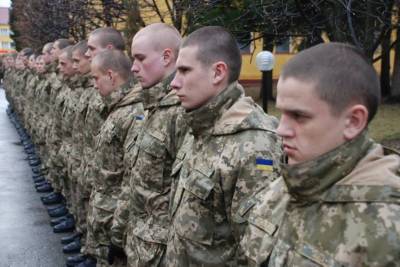 Украинские боевики планируют пополнить свои ряды солдатами-срочниками - news-front.info - Украина - ЛНР