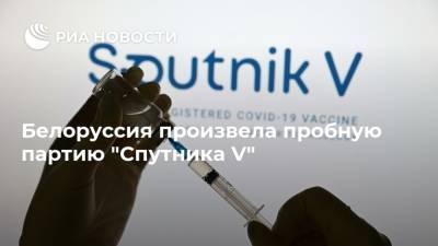 Владимир Путин - Александр Лукашенко - Дмитрий Пиневич - Белоруссия произвела пробную партию "Спутника V" - ria.ru - Россия - Сочи - Белоруссия - Минск