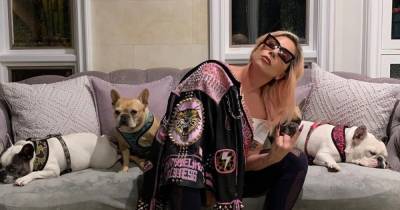 Леди Гага - Джо Байден - ФБР считает, что похищение собак Леди Гаги могло быть "политически мотивированным" - focus.ua - Лос-Анджелес