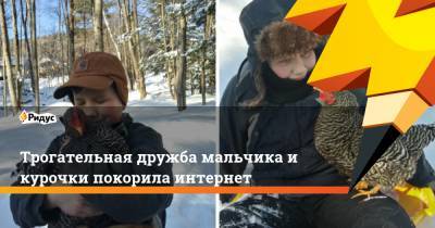 Трогательная дружба мальчика и курочки покорила интернет - ridus.ru - шт. Массачусетс